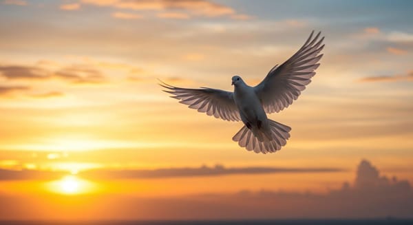 Iniciativas globais para promover a paz e a cooperação